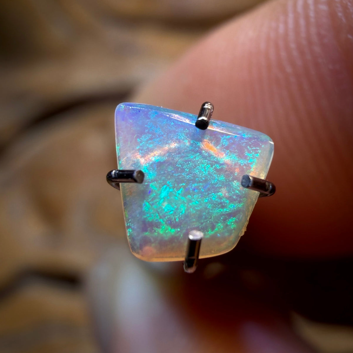 📣 OPALFEST 🔨 AUCTION 🔨 No Reserve 0.15cts - South Australian Crystal Opal
