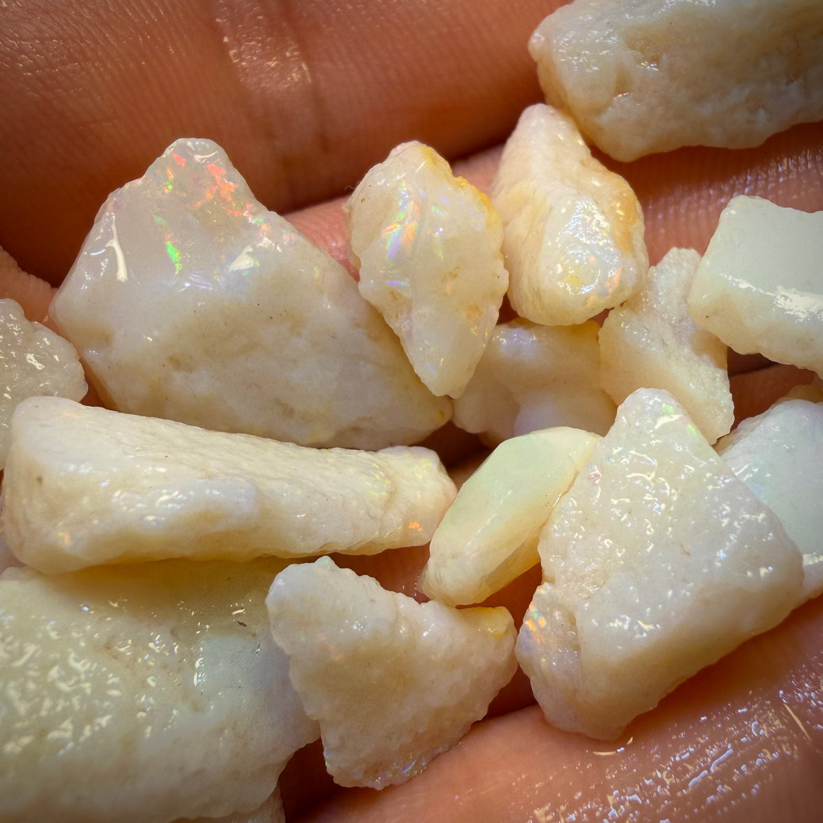 🔨 AUCTION 🔨 131.4cts - 20x South Australian White Opal Rough Parcel