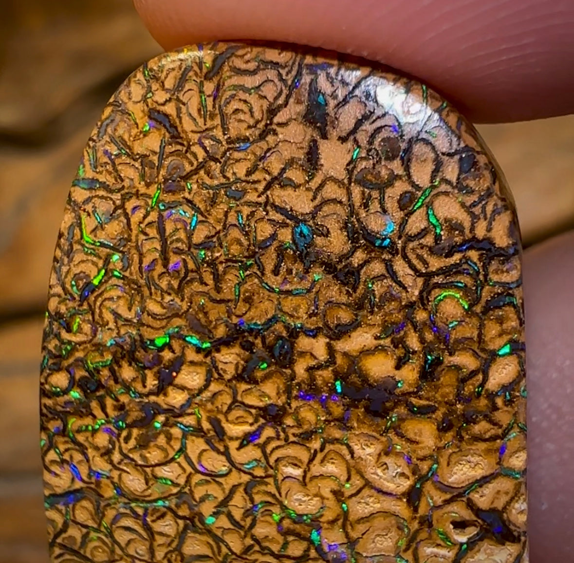 52.3cts - Yowah Nut Tan Tribal Opal. Double Sided - Opal Whisperers