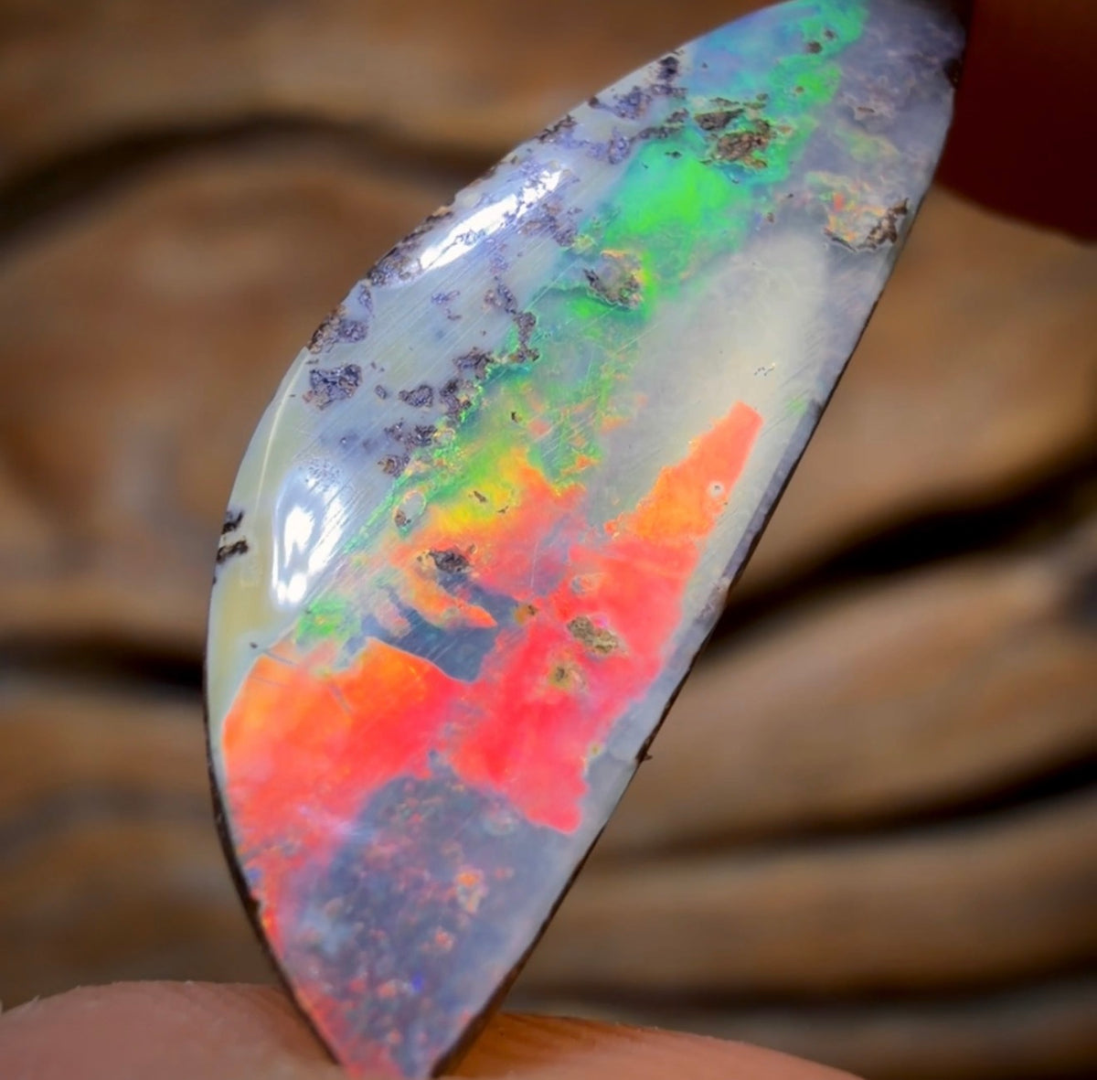 6.15cts - Queensland Boulder Seam Opal. Red Multicolours!