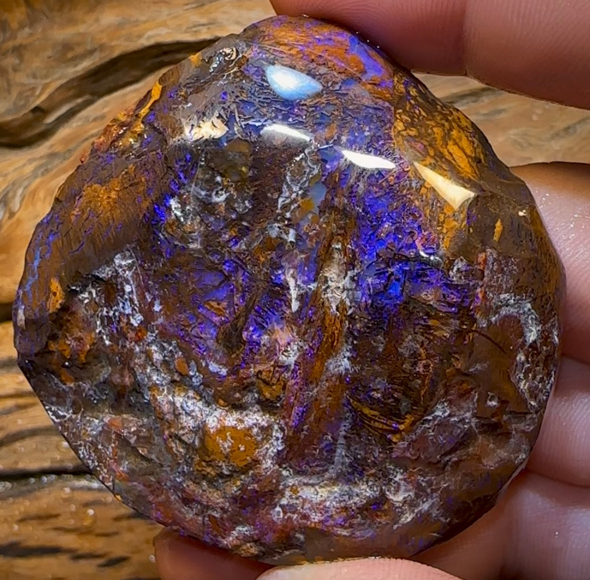 513.3cts - Large Yowah Boulder Opal Rough Preform - Opal Whisperers