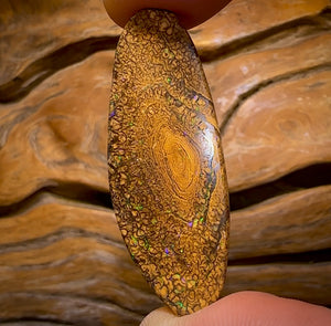 47.4cts - Tight Tan Tribal Queensland Boulder Opal from Yowah