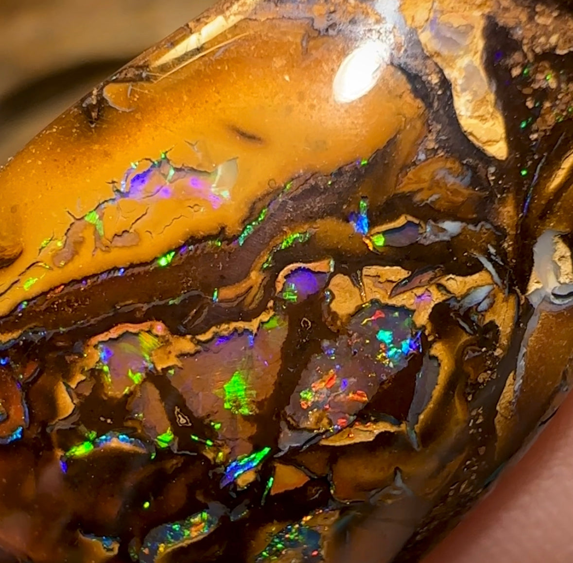 59.6cts - “Fruit cake” Koroit Nut Conglomeration Queensland Boulder Opal - Opal Whisperers