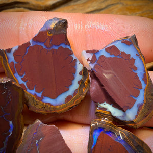 🔨 AUCTION 🔨 192.1cts - 5x Yowah Nut Kernel Rough Half’s Parcel