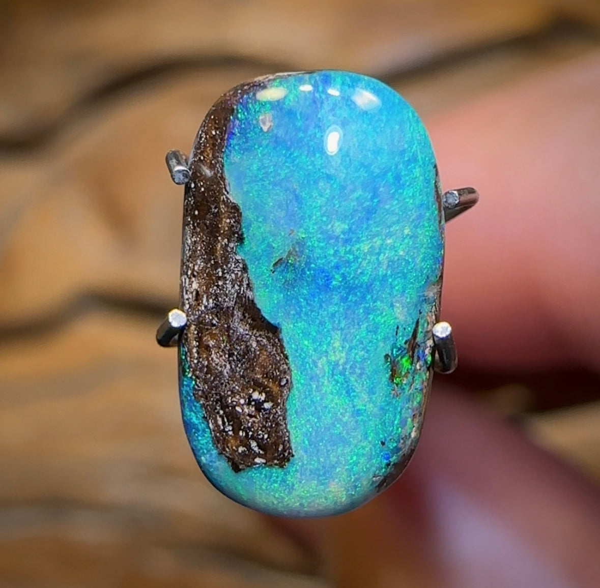 2.5cts - Scandinavian Aka Ice Blue Queensland Boulder Seam Opal - Opal Whisperers