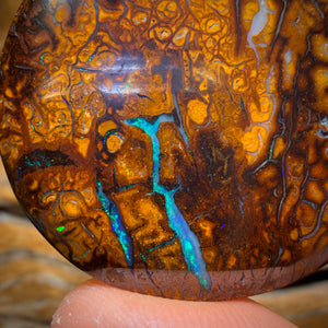 109.4cts - “Wale Migration” Large Tribal Yowah Nut Opal Picture Stone, Australian Opal