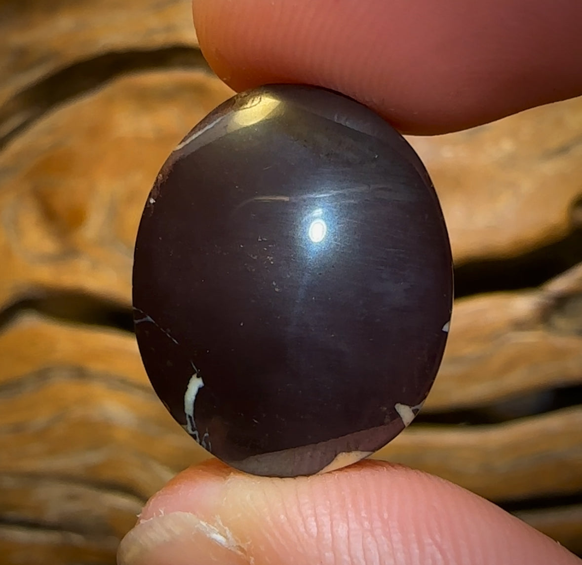 34.2cts - Queensland Boulder Opal from Koroit