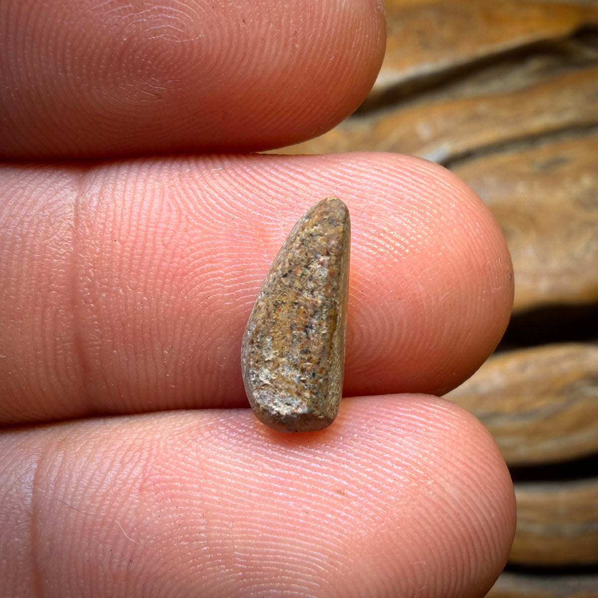 1.8cts - Solid Australian Boulder Pipe Opal