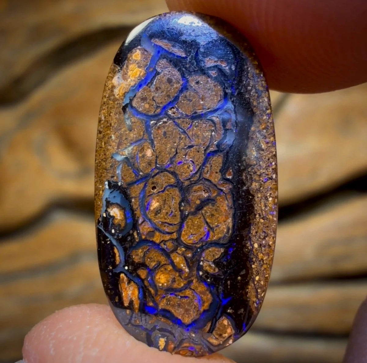 6.7cts - Tribal Yowah Nut Opal. Australian Opal