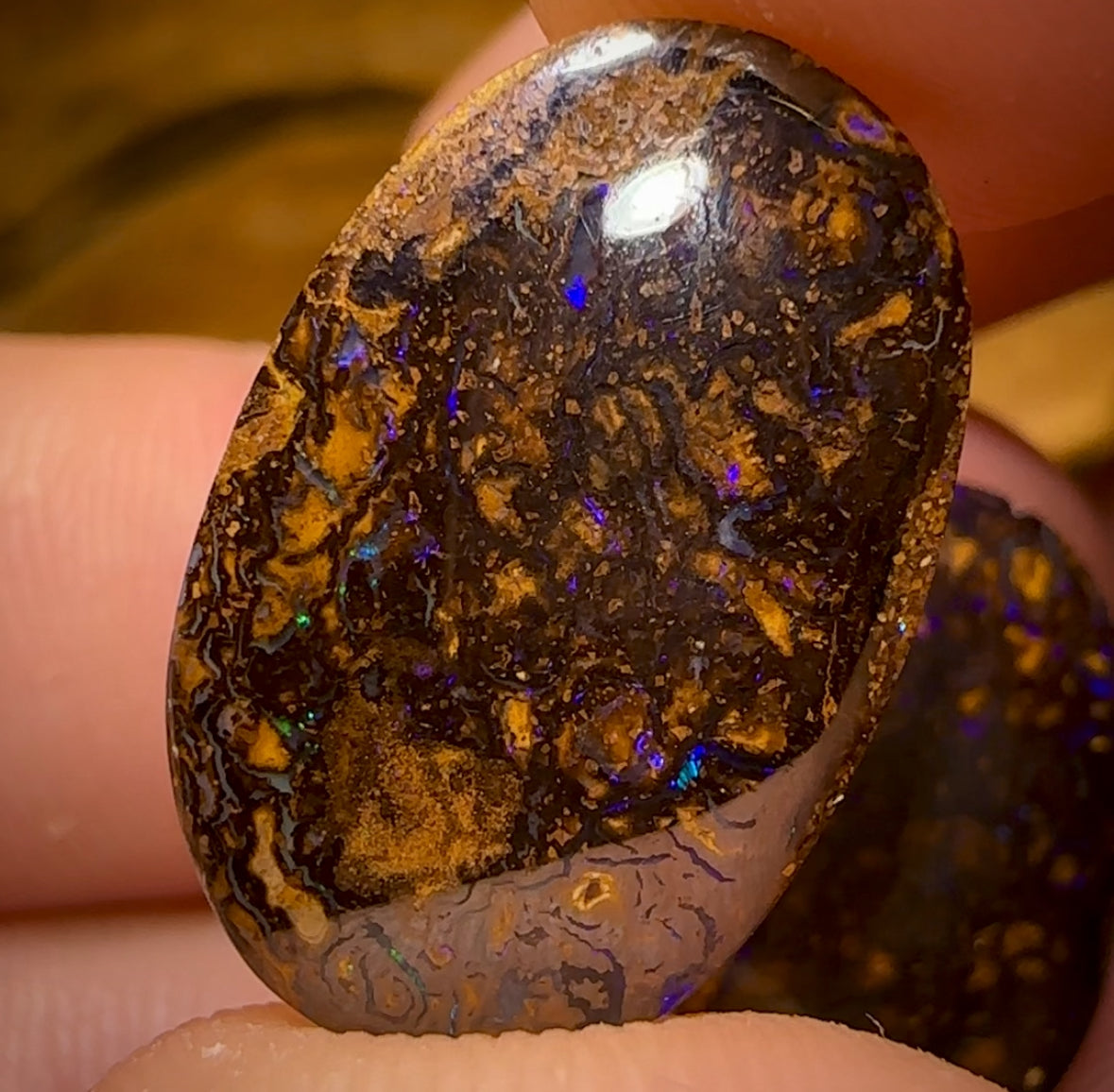 19.6cts - Tribal Queensland Boulder Opal Pair