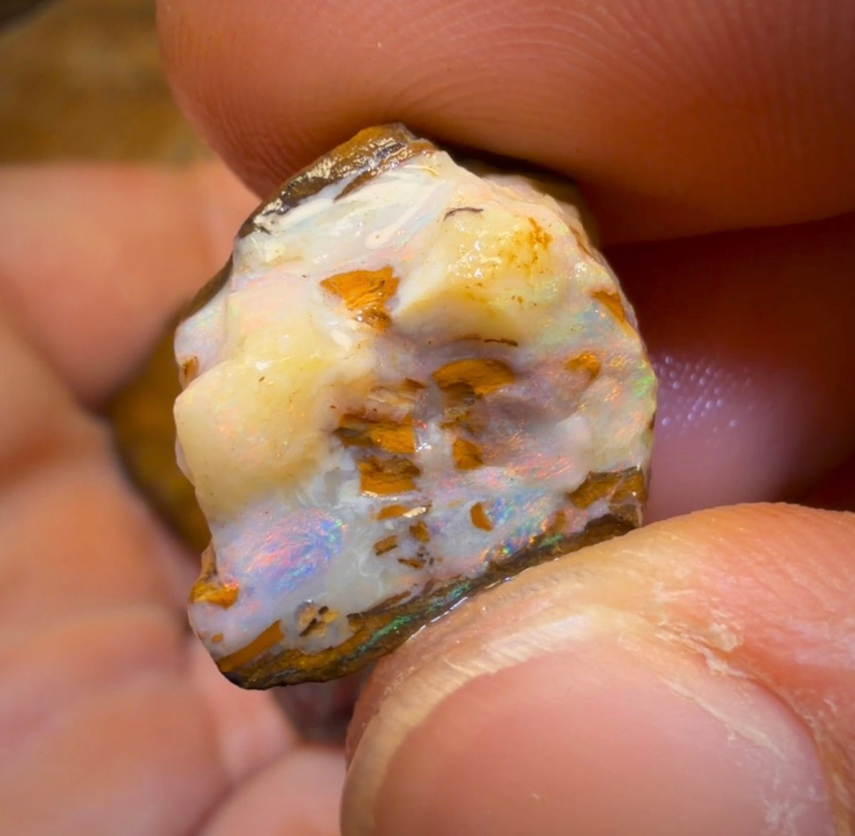 🔒 221,6 cts - Lot de 5 opales brutes Yowah Nut. Opale boulder australienne.