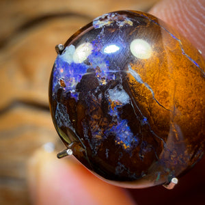 🔨 AUCTION 🔨 No Reserve 6.7cts - Queensland Boulder Opal from Yowah
