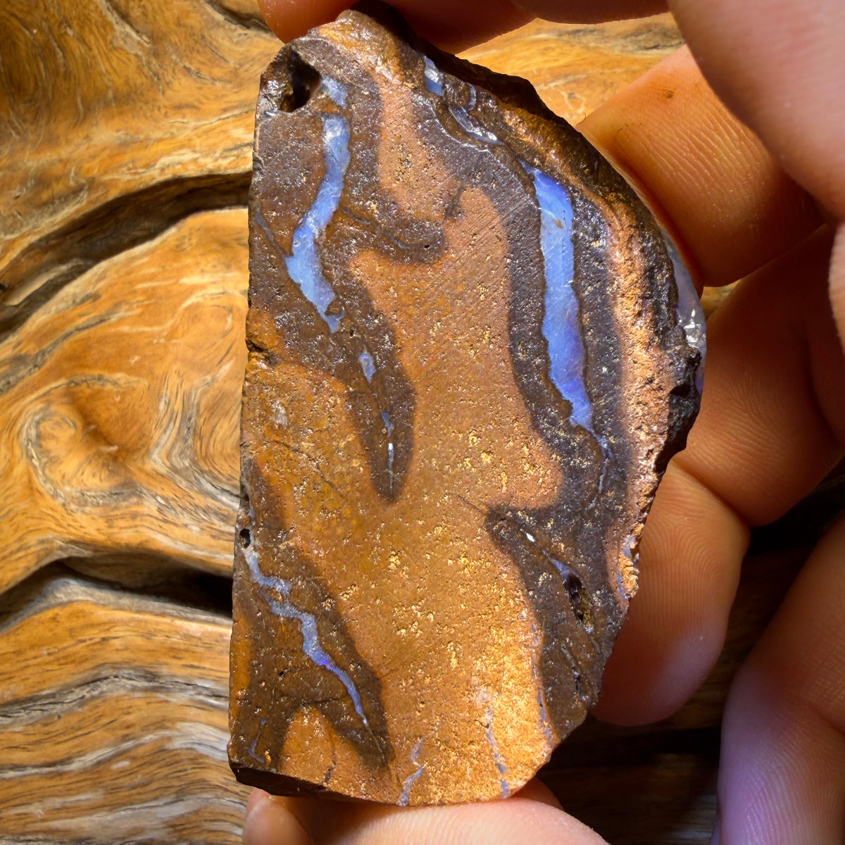 412.6cts - Queensland Boulder Seam Opal Rohstück