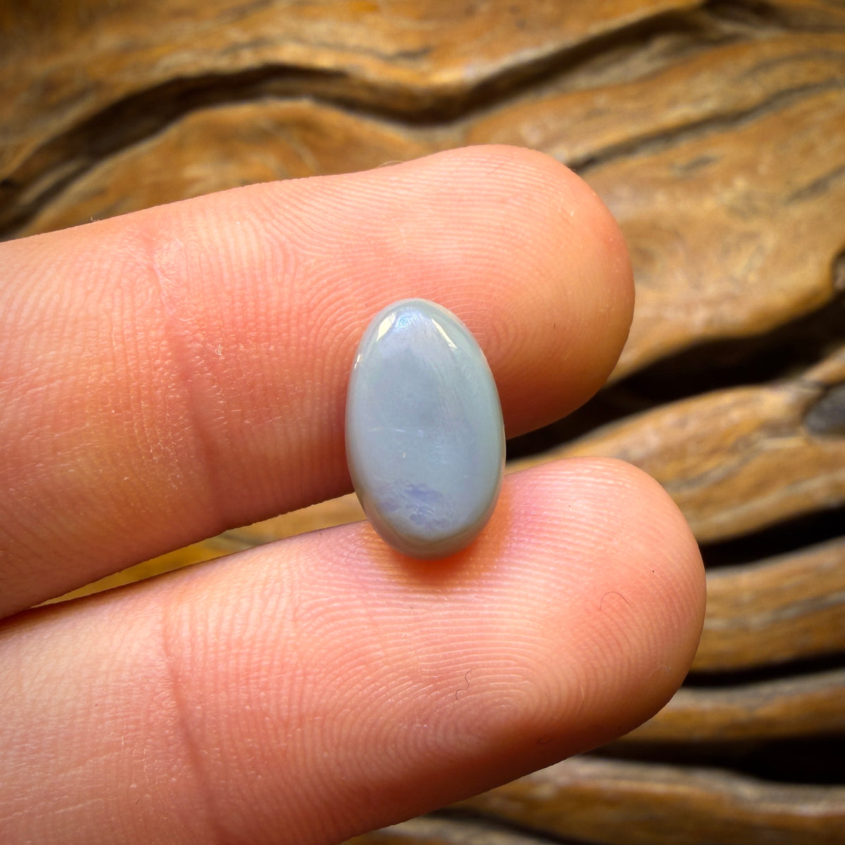 Bargain Card! 2.9cts - Dark Opal from Lightning Ridge