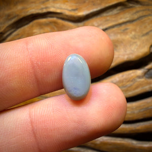 Bargain Card! 2.9cts - Dark Opal from Lightning Ridge