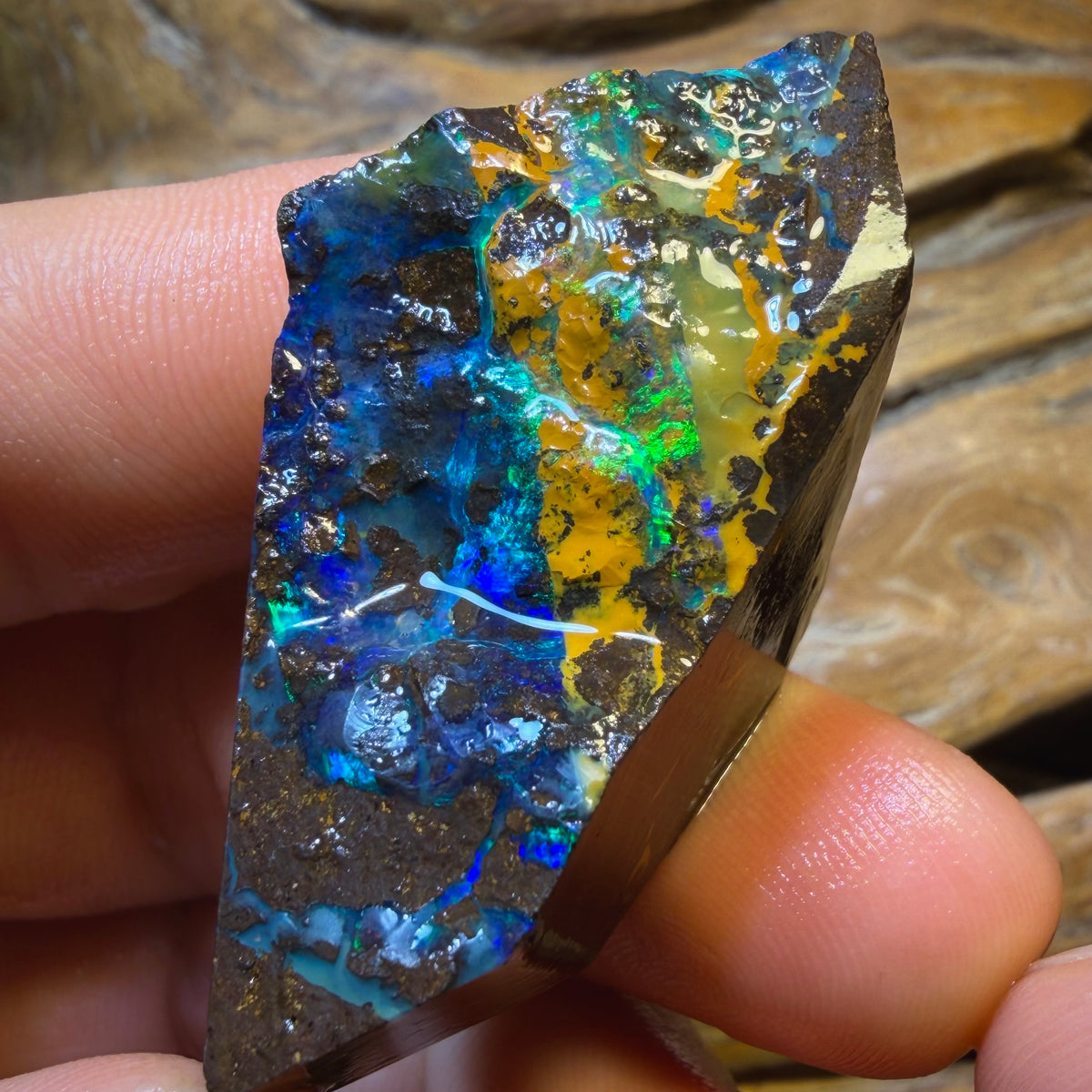 Dad Card! 293cts - Top Queensland Boulder Seam Opal Rough Pair. Natural Split