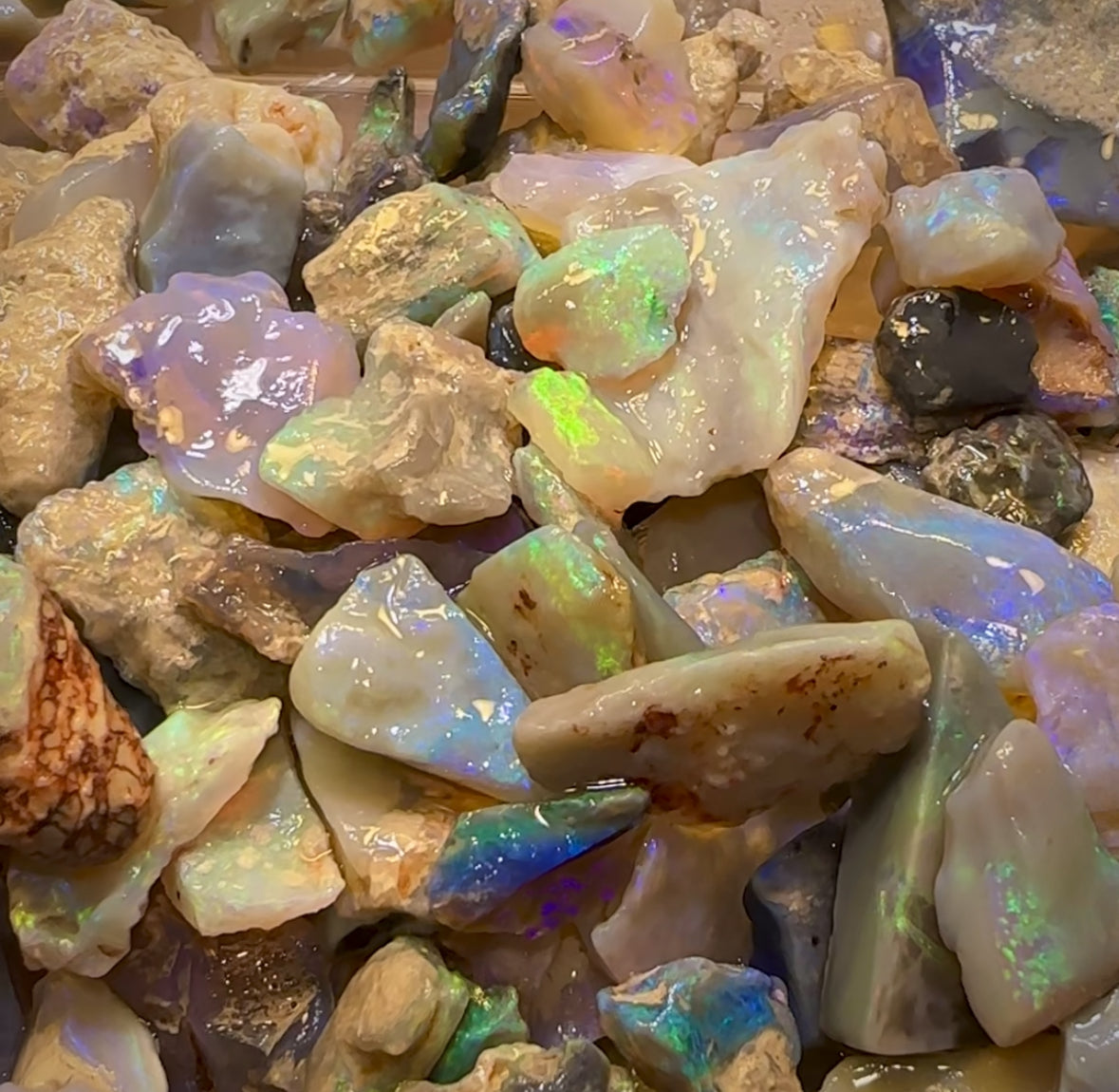 🔒540cts - 50+ Lightning Ridge Opal Rough. Serious Cutters Parcel! New Price Bargain