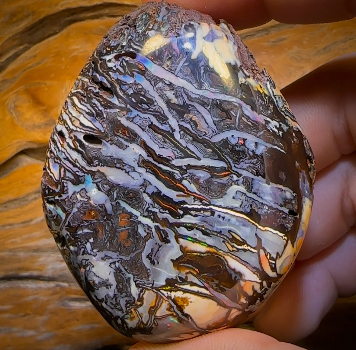 735cts - HUGE Rare Natural Broad Tribal Koroit Nut Opal Polished Specimen