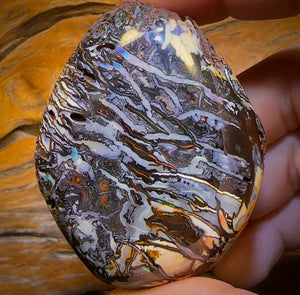 735cts - HUGE Rare Natural Broad Tribal Koroit Nut Opal Polished Specimen