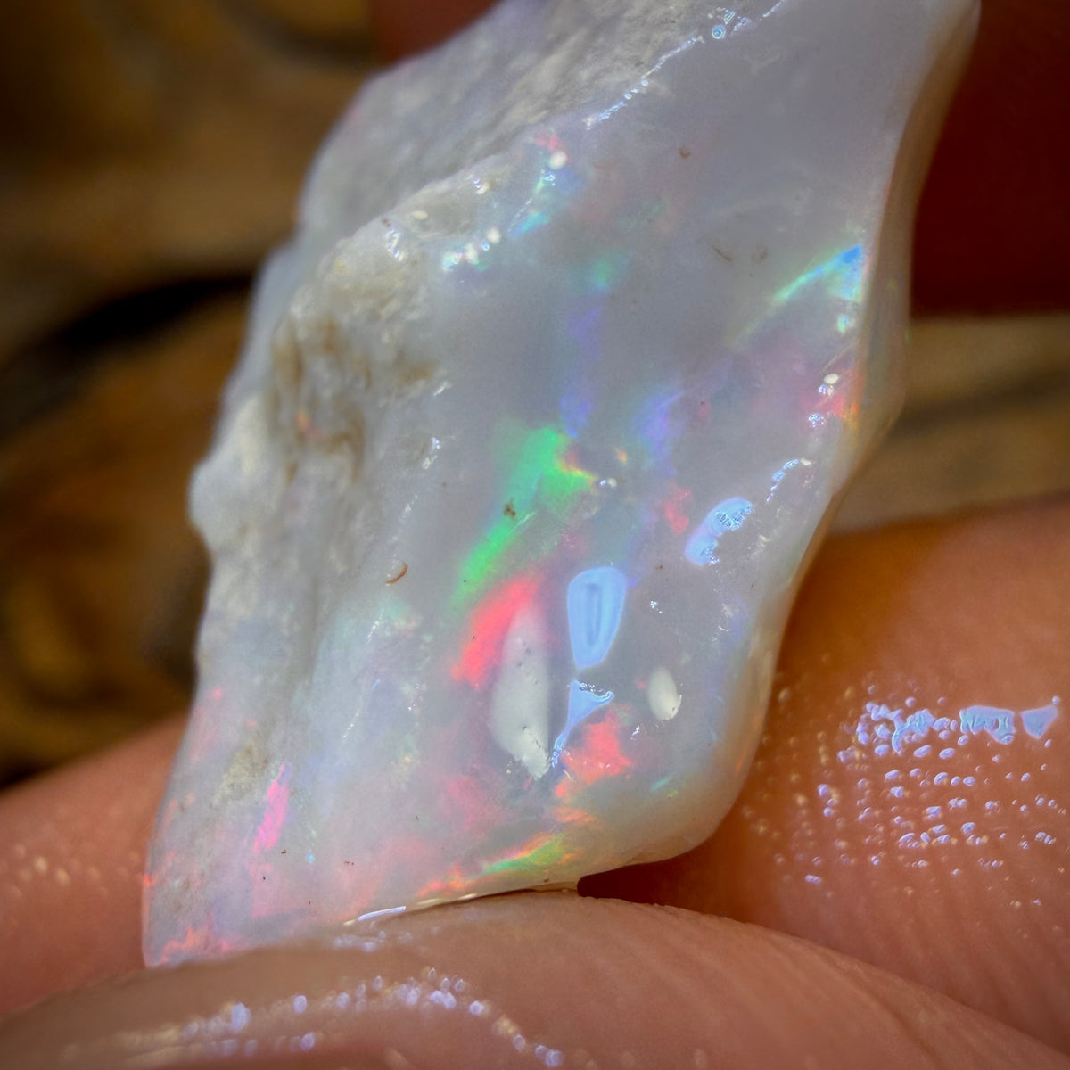 12.7cts - South Australian White Opal Rough Piece