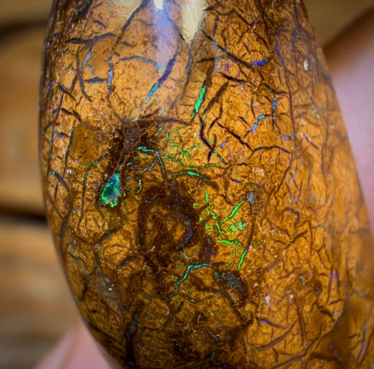 Wildcard! 22.9cts - Tribal Australian Boulder Opal from Yowah