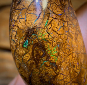 Wildcard! 22.9cts - Tribal Australian Boulder Opal from Yowah