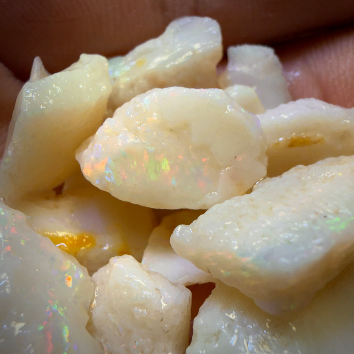 124.1cts - 20x South Australian White Opal Rough Parcel