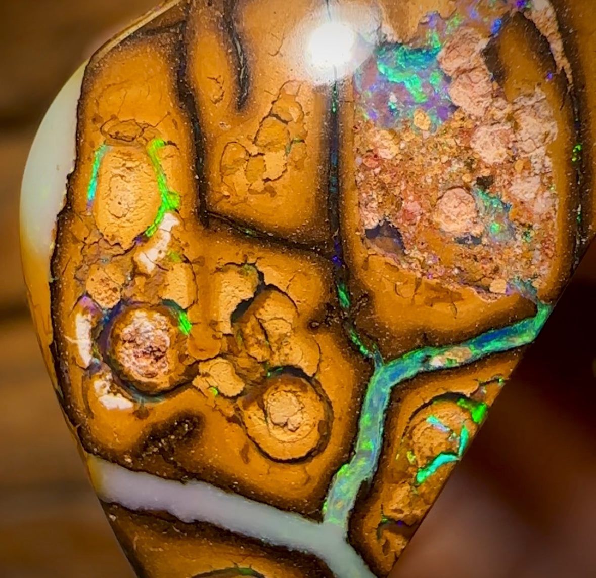 20.8cts - Yowah Nut Tribal Opal Picture Stone