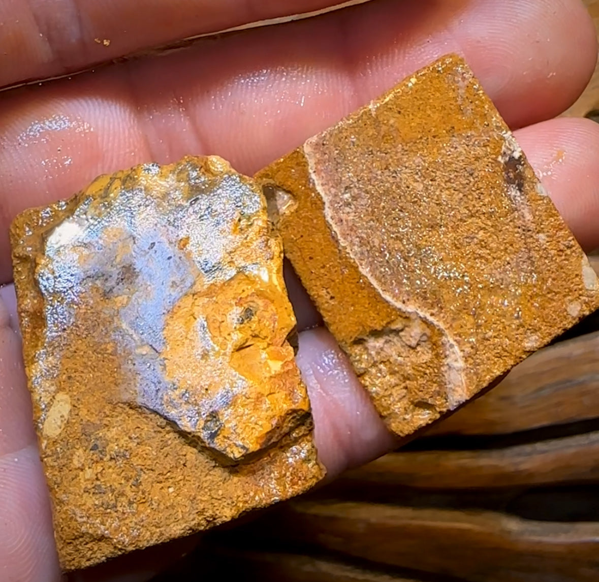 131.5cts - 2x Queensland Boulder Pipe Opal Rough.