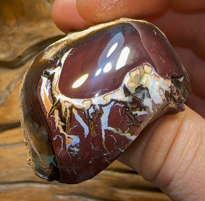 465cts - Australian Boulder Opal Specimen Tribal Nut Skin - Opal Whisperers