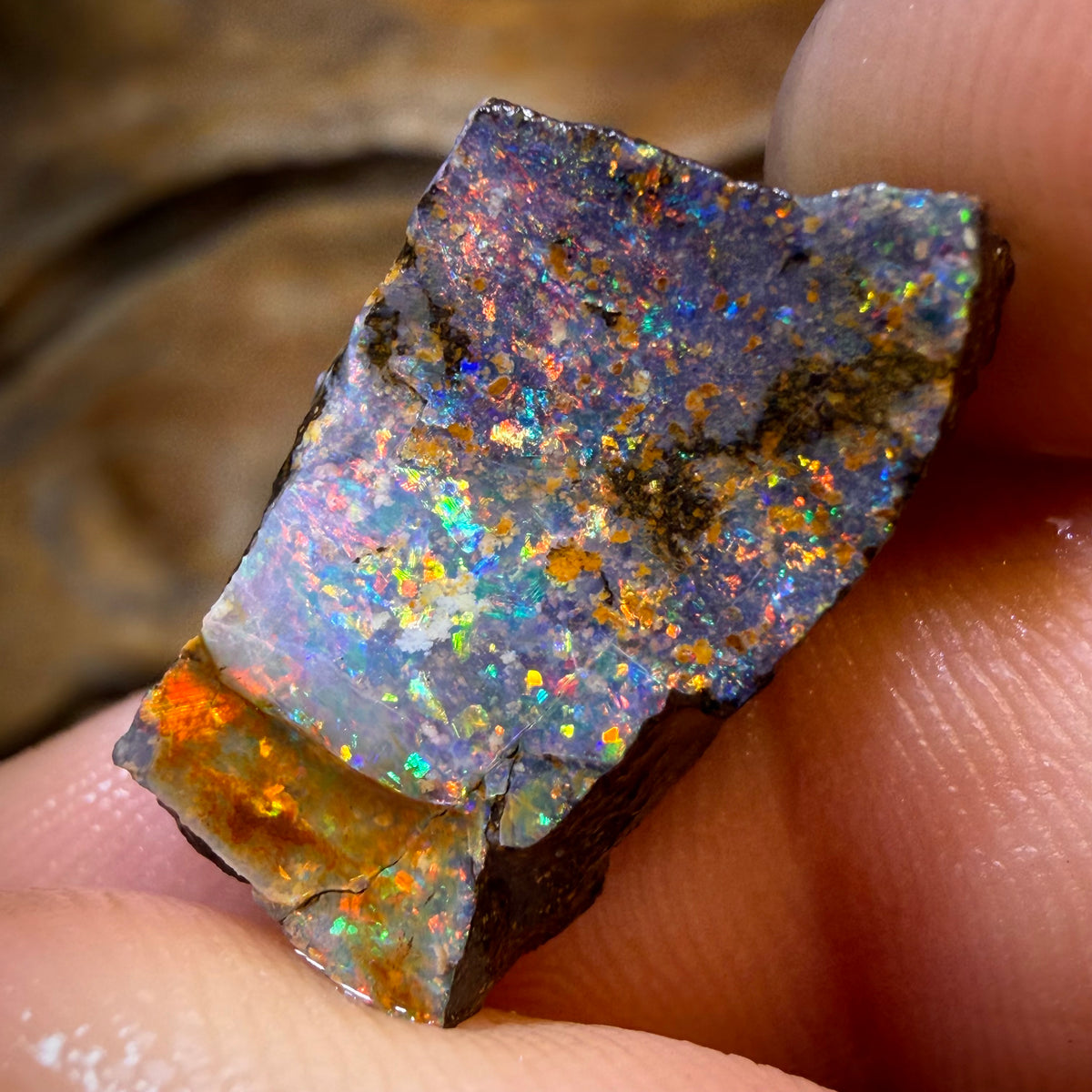 HDW 17.3cts - Queensland Boulder Seam Opal Rough Piece. Natural Split