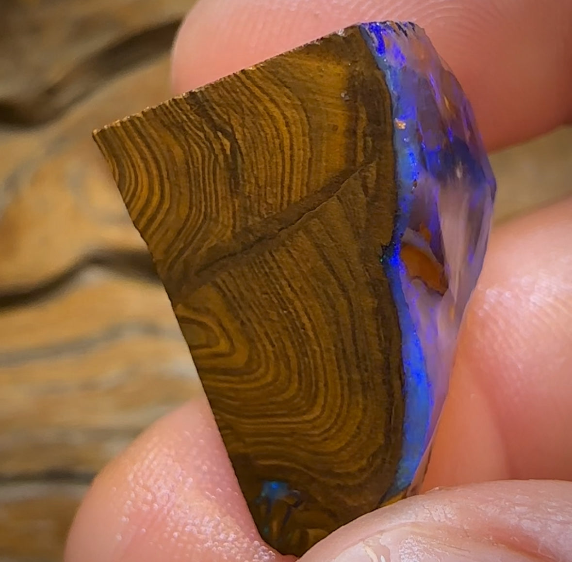 Auction Fall-Through = Your Gain! 🔥 Now More Than 50% Off RRP 🚨 55.1cts - Queensland Boulder Seam Opal Rub