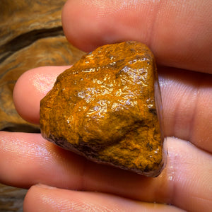 101.1cts - Vegetation Fossil Replacement Boulder Opal Rough Piece. Found on ‘OUTBACK OPAL HUNTERS’!!