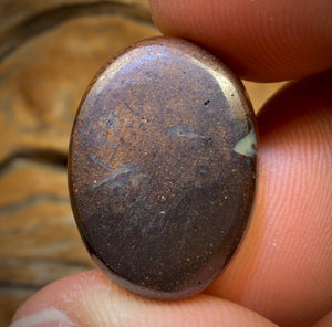 26.1cts -  “Big Red” GEM Queensland Boulder Opal from Koroit. Red Multicolours!!