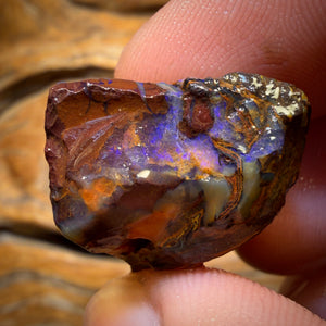 Bargain Rough! 49.9cts - Tribal Yowah Nut Opal Rough Piece