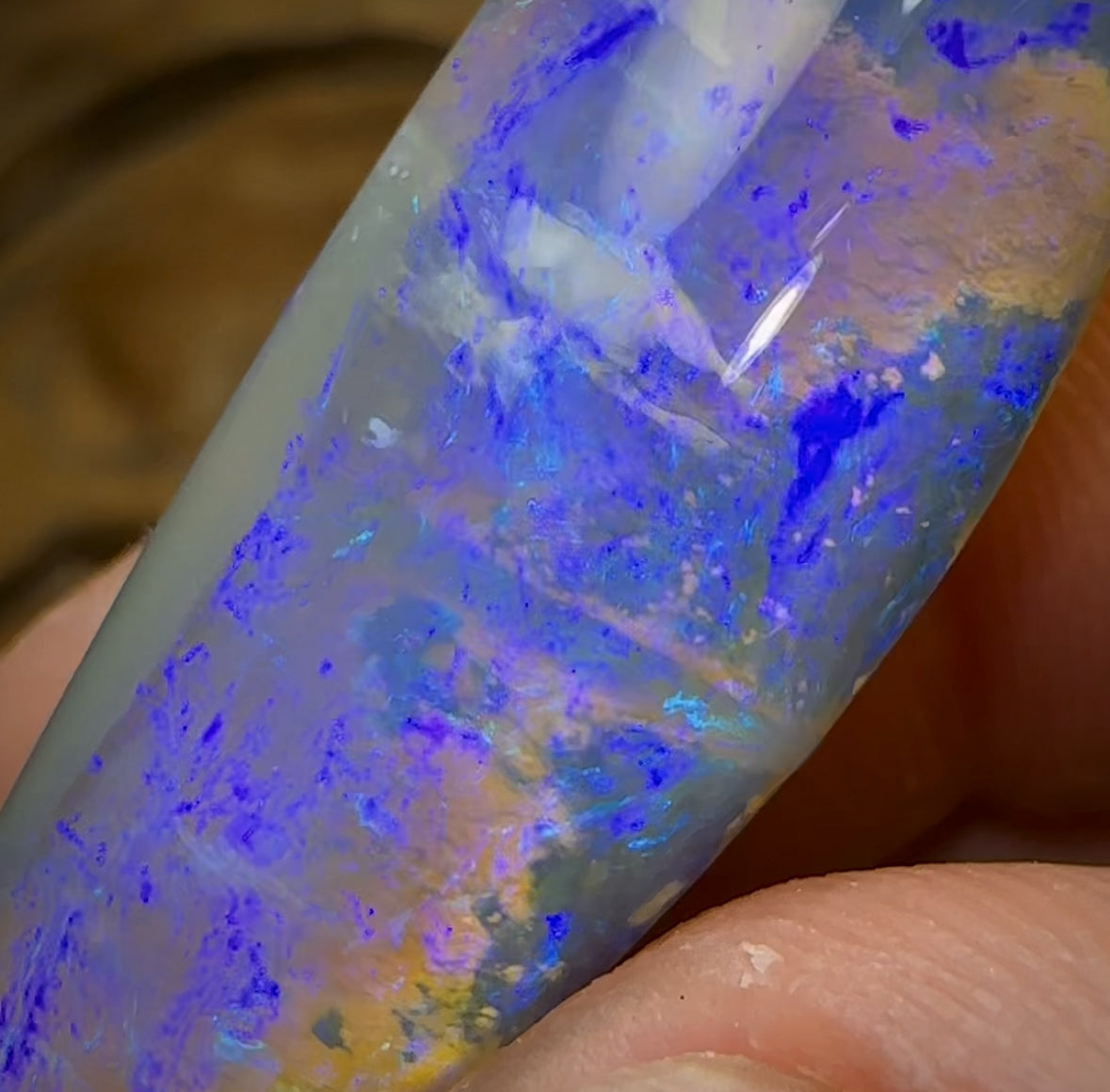 38.4cts - Large Solid GEM Queensland Boulder Seam Opal. THICK SEAM