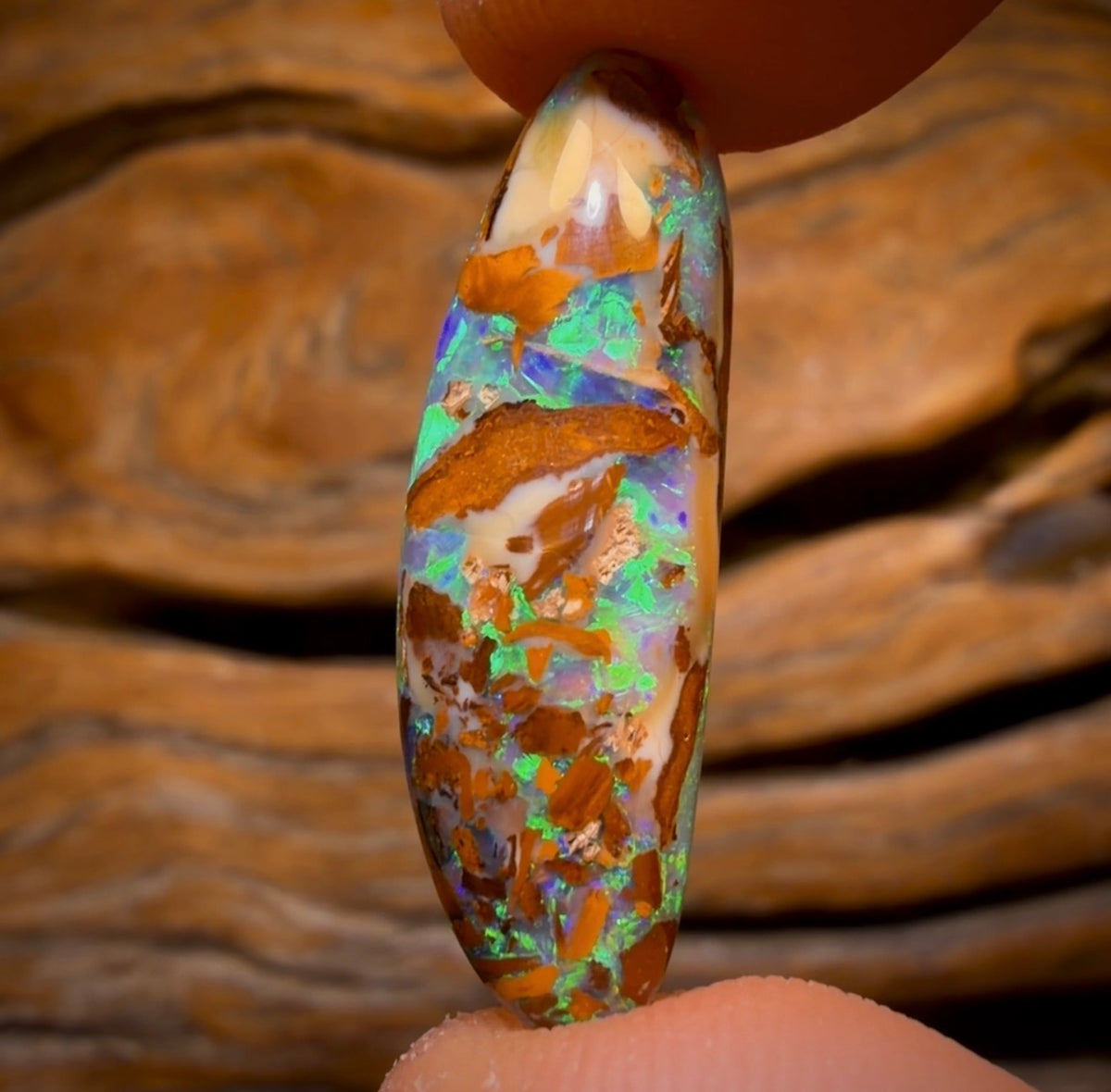 13.4cts - BANGER GEM Rare Fossil Yowah Crystal Opal