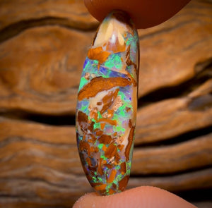 13.4cts - BANGER GEM Rare Fossil Yowah Crystal Opal