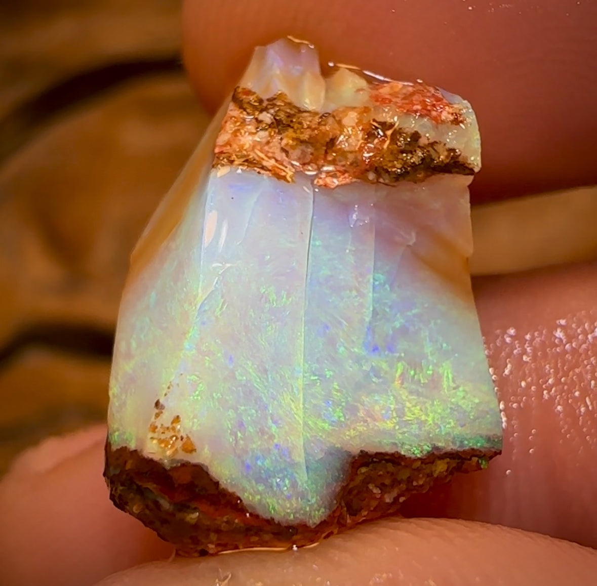 10.3cts - Queensland Boulder Pipe Opal Rough Piece