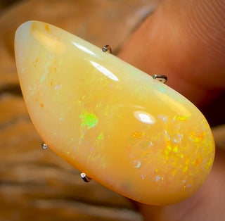 6.5cts - Very Old Rare Yowah Nut Pure Golden Yellow Crystal Opal