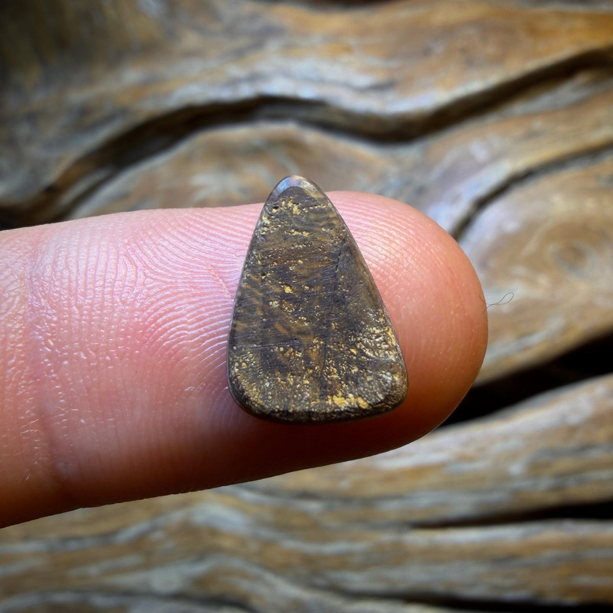 Dad Wildcard! 2.3cts - Top Australian Boulder Opal Doublet