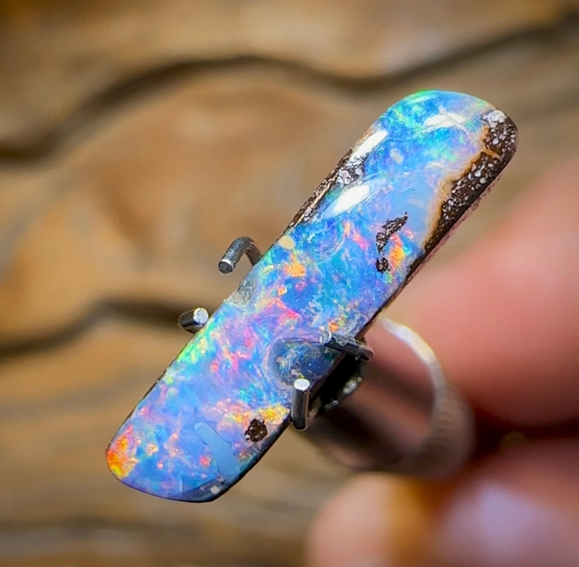 2cts - RED Multicolour Queensland Boulder Opal from Winton - Opal Whisperers