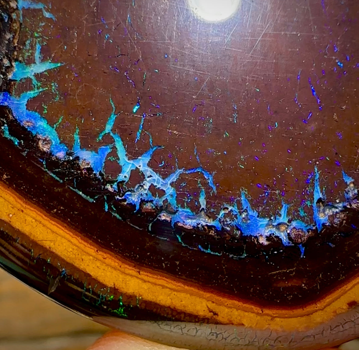 212.3cts -  “Mystic Eye”Polished Yowah Nut Opal Specimen - Opal Whisperers