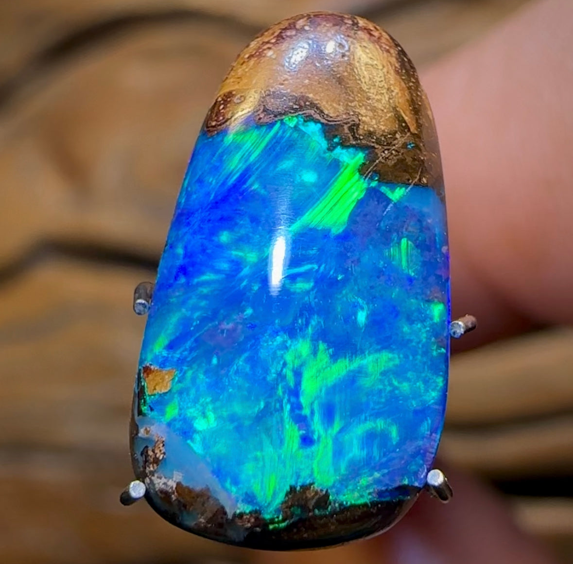5.1cts - Yowah Nut Crystal Centre Opal - Opal Whisperers