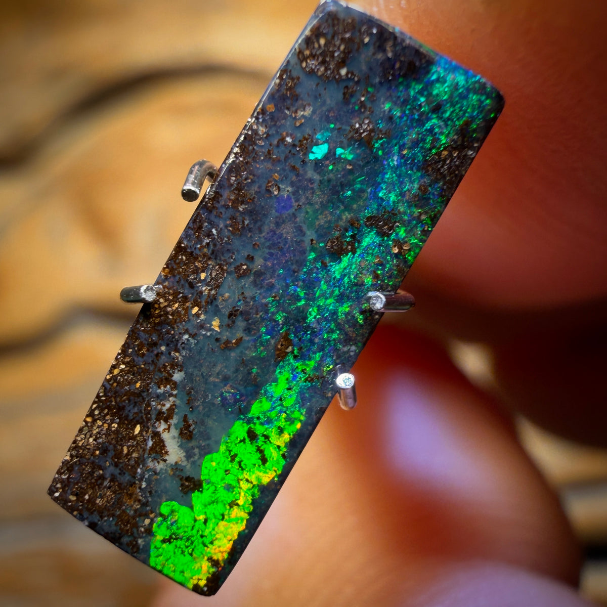 2.6cts - Queensland Boulder Seam Opal