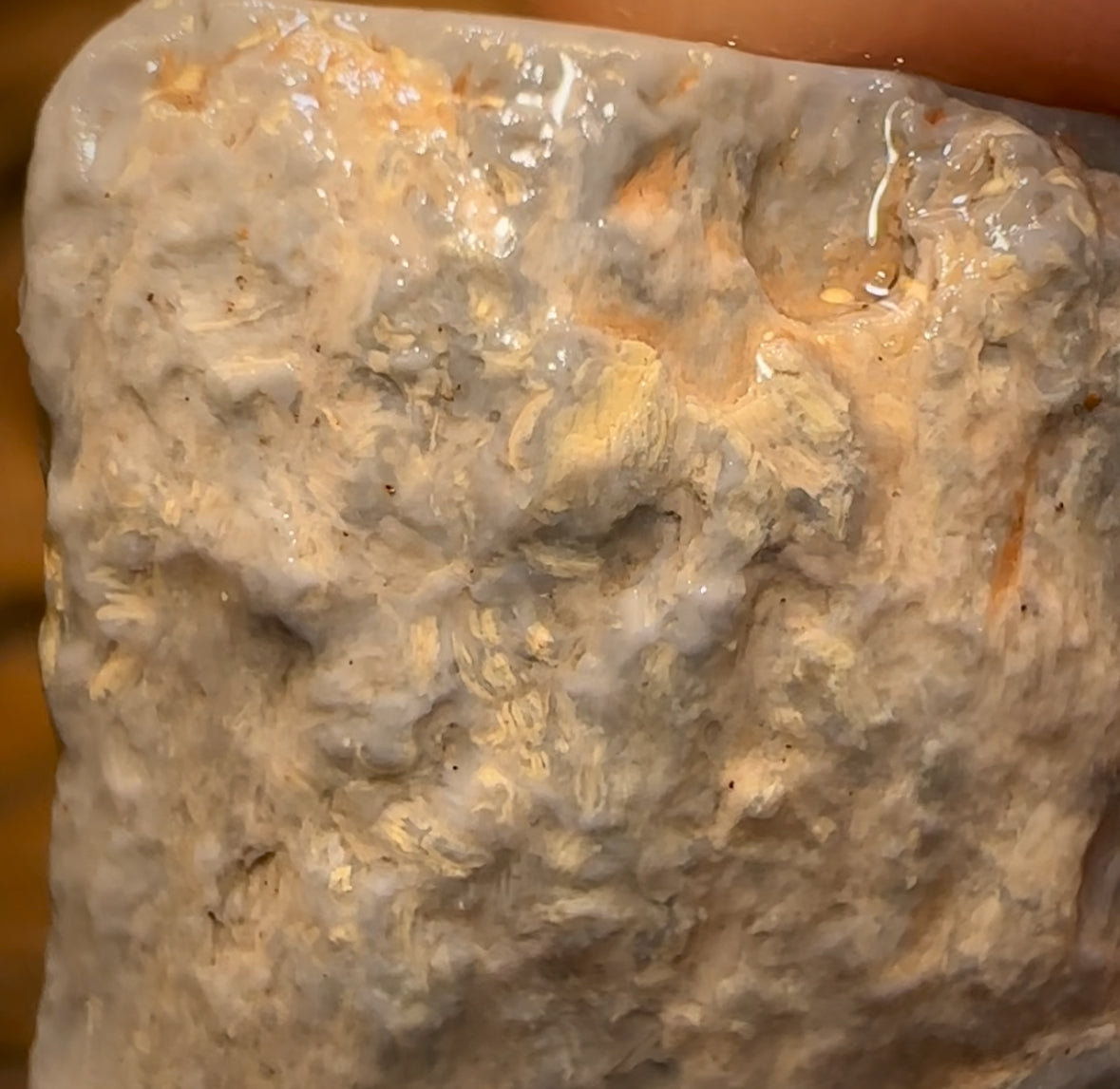 Auction Fall-Through = Your Gain! 🔥 Now More Than 50% Off RRP 🚨 16.1cts - Lightning Ridge Wood / Vegetation Fossil Opal Rough Specimen