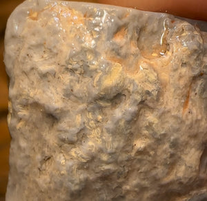 Auction Fall-Through = Your Gain! 🔥 Now More Than 50% Off RRP 🚨 16.1cts - Lightning Ridge Wood / Vegetation Fossil Opal Rough Specimen