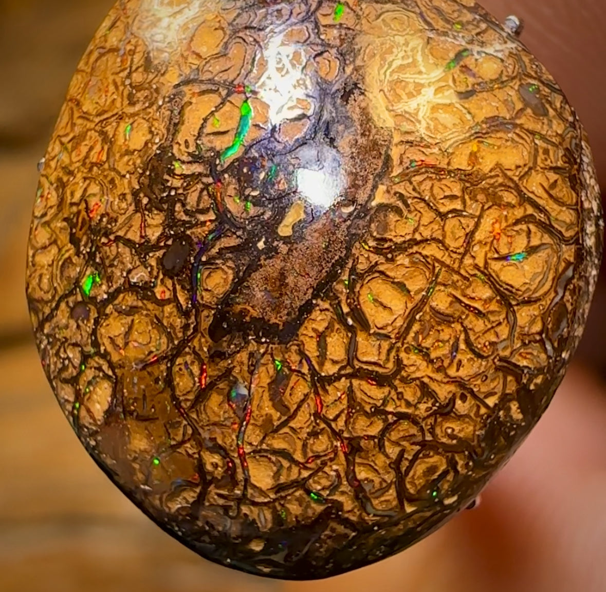 12.3cts - Tan Tribal Yowah Nut Opal. Multicolours!