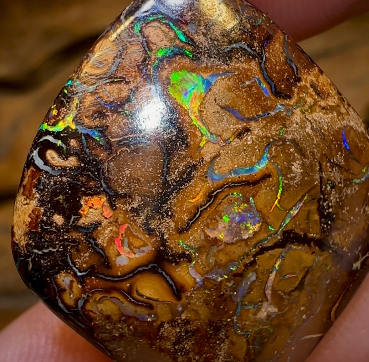 35.1cts - Queensland Boulder Opal - Opal Whisperers