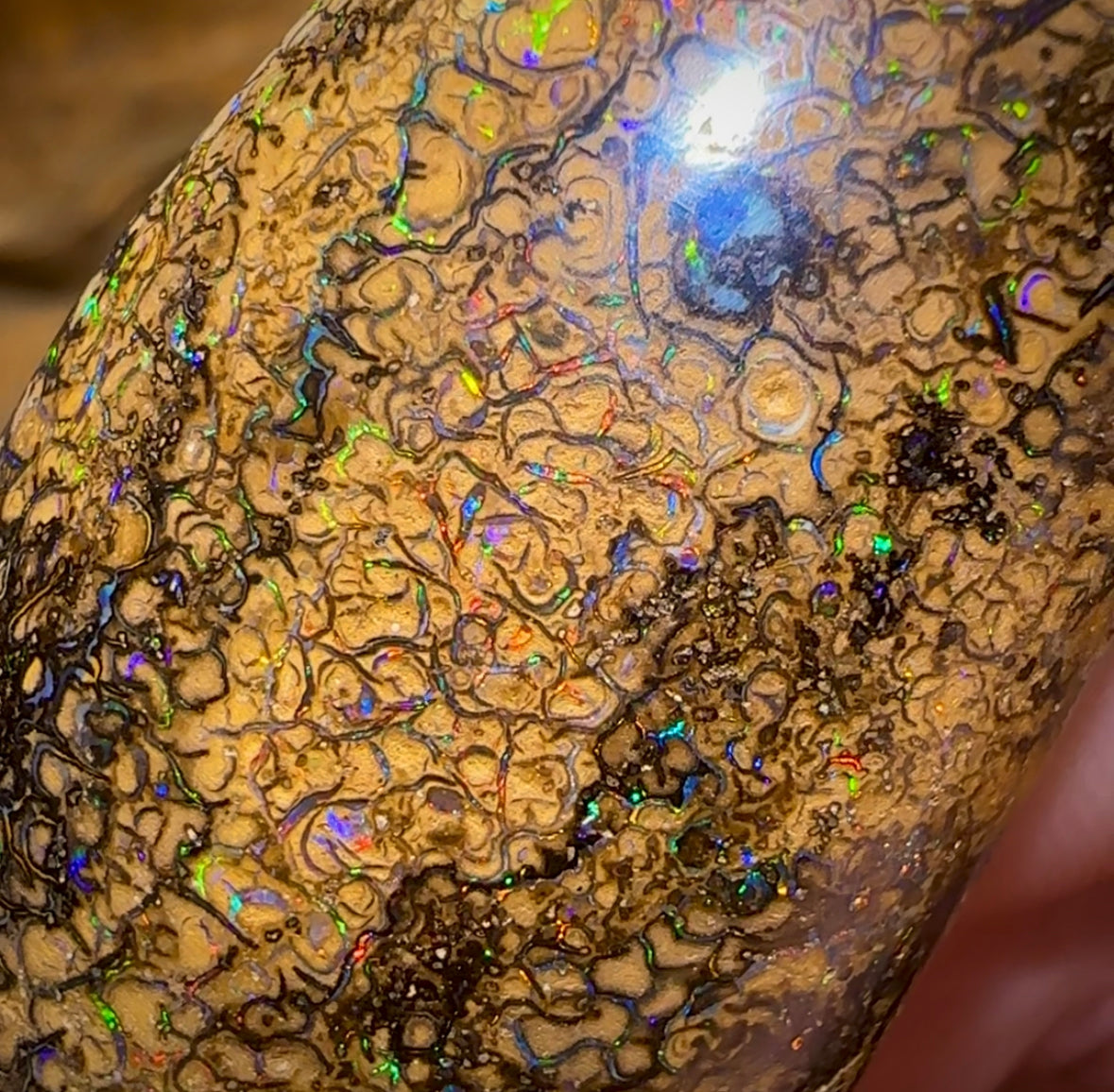 127.8cts - Large Yowah Nut Intricate Tribal Australian Boulder Opal. - Opal Whisperers